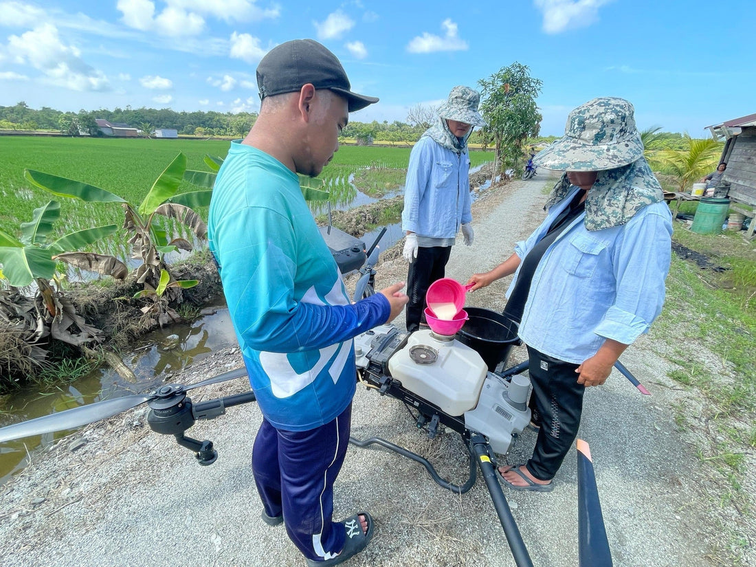 Revolutionizing Paddy Cultivation in Sarawak